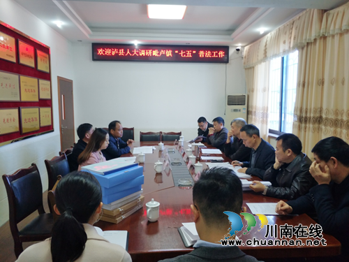 杨怀清率队调研泸县毗卢镇“七五”普法工作(图1)