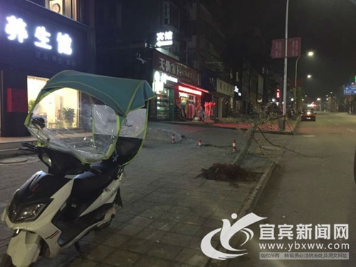 宜宾女司机疯狂连撞两车后逃逸&nbsp;喝酒惹的祸！(图3)