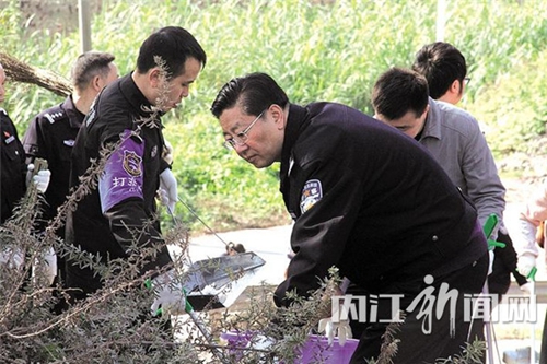 助力“创国卫”内江60余名交警当起清洁工(图1) 助力“创国卫”内江60余名交警当起清洁工(图1)