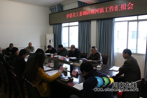 泸县关工委到潮河镇开展调研工作(图2)