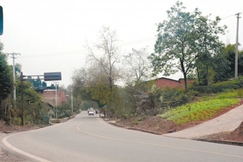 内江:西南最大“收荒场”牛棚子被取缔(图1) 内江:西南最大“收荒场”牛棚子被取缔(图1)