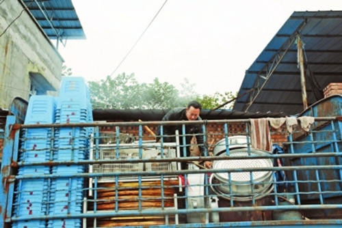 内江:西南最大“收荒场”牛棚子被取缔(图2) 内江:西南最大“收荒场”牛棚子被取缔(图2)