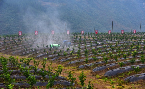 三年投5亿！叙永农田水利基本建设获省级表彰(图1)