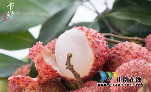 合江荔枝省级地标产品保护区创建工作通过验收(图1)