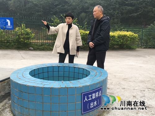 吴文涛率队督导龙马潭区特兴街道环保工作(图1)