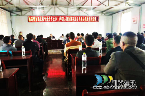 宜宾新型职业农民技能培训打好“组合拳”(图1)