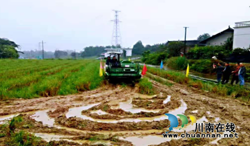 宜宾新型职业农民技能培训打好“组合拳”(图4)