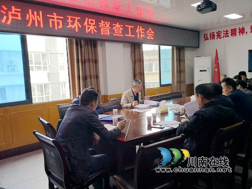 泸州市迎督办案件督办组到泸县海潮镇开展环保信访点位督查工作(图1)
