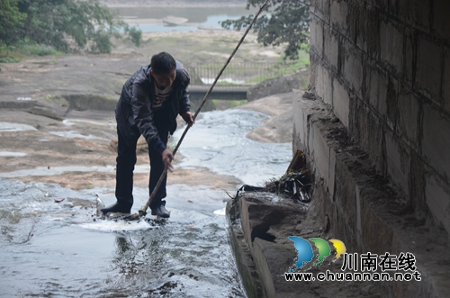 泸县太伏镇开展长江沿线入河排污口整治行动(图4)