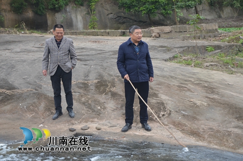 泸县太伏镇开展长江沿线入河排污口整治行动(图6)