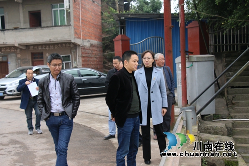 张福荣到泸县潮河镇督导近期重点工作并开展河长制巡查(图1)