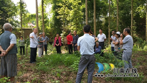 合江扶贫干部王孝明：将生命定格在扶贫路上(图1)