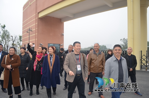 泸县玉蟾街道开展人大代表、政协委员视察活动(图1)