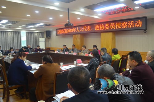 泸县玉蟾街道开展人大代表、政协委员视察活动(图4)