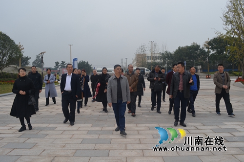 泸县玉蟾街道开展人大代表、政协委员视察活动(图2)