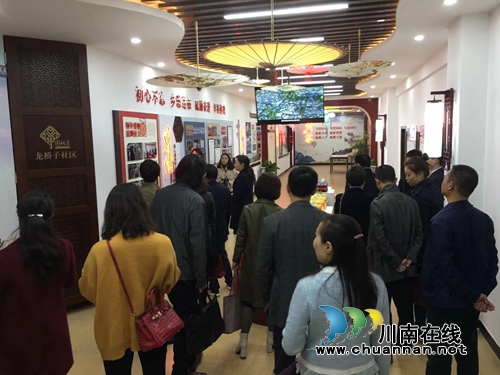 市政协、民宗外侨委委员小组视察龙马潭区红星街道侨务工作(图1)