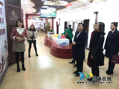 市政协、民宗外侨委委员小组视察龙马潭区红星街道侨务工作(图2)