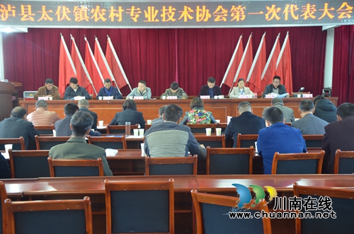 泸县太伏镇农村专业技术协会第一次会员代表大会召开(图1)