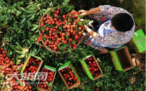 泸州入选2018年消费品工业“三品”战略城市(图1)