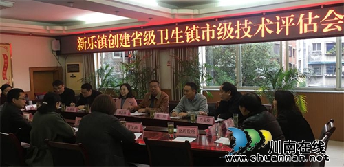 泸州市纳溪区棉花坡镇和新乐镇创建“四川省卫生乡镇”&nbsp;接受市级技术评估(图1)