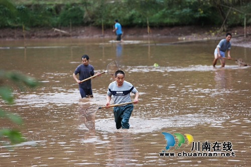 捉鱼庆丰收！泸州叙永举办首届“乡村捉鱼节”(图3)