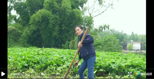 泸县2019“我要上‘村’晚”启动仪式圆满举行(图1)