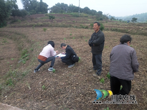 泸县云龙镇扎实开展全国第二次种植业污染源普查(图2)