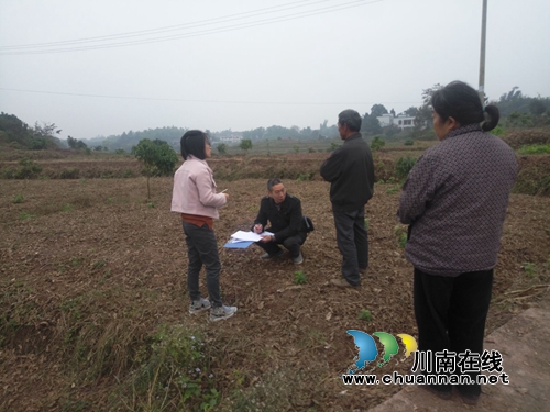 泸县云龙镇扎实开展全国第二次种植业污染源普查(图1)
