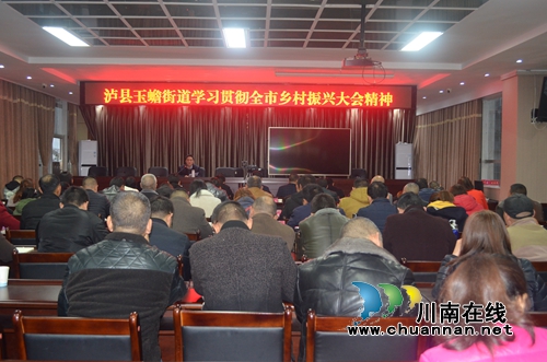 泸县玉蟾街道学习贯彻全市乡村振兴大会精神(图1)