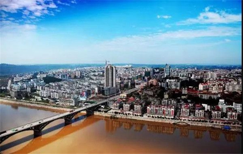 泸州金科·集美天宸城市展厅华美绽放(图8)