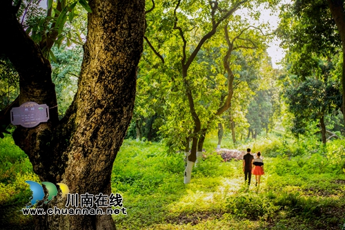 首届“千年画卷·醉享张坝”摄影大赛评选揭晓(图3) 首届“千年画卷·醉享张坝”摄影大赛评选揭晓(图3)