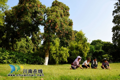 首届“千年画卷·醉享张坝”摄影大赛评选揭晓(图34) 首届“千年画卷·醉享张坝”摄影大赛评选揭晓(图34)