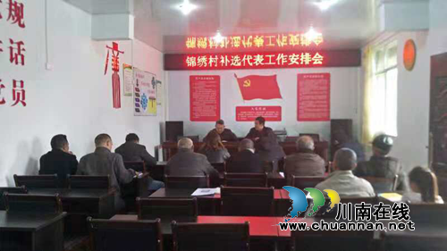 宜宾南溪区大坪乡补选人大代表工作顺利开展(图1)