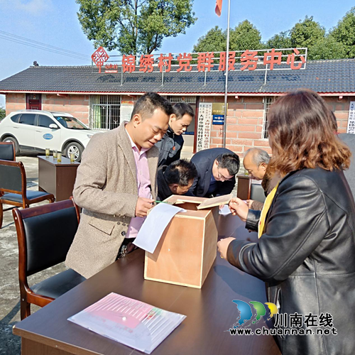 宜宾南溪区大坪乡补选人大代表工作顺利开展(图2)