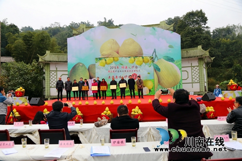 第三届“护国柚”采摘活动在纳溪护国镇启动(图3)