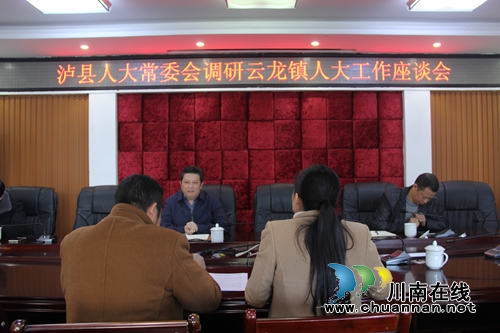 泸县人大常委会主任颜习林到云龙镇调研2018年人大工作(图1)