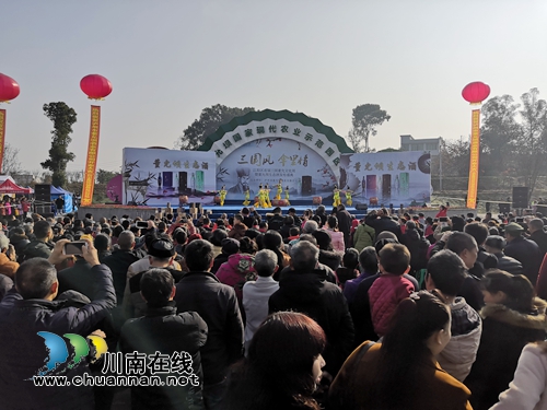 “中国酒城”泸州又出了一款美酒，你知道吗(图21)