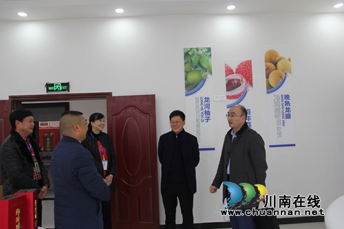 市委组织部副部长郑勇到泸县云龙镇调研基层党建工作(图2)