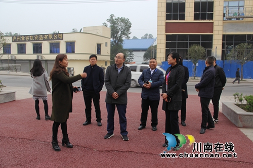 市委组织部副部长郑勇到泸县云龙镇调研基层党建工作(图3)