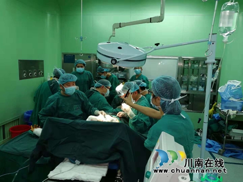 奋战11小时!西南医大中医院让5人断指重生(图1) 奋战11小时!西南医大中医院让5人断指重生(图1)