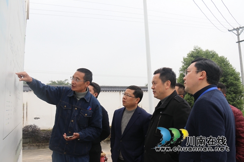 泸县副县长先泽平率队到百和镇督导环保工作(图2)