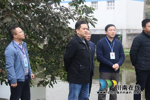 泸县副县长先泽平率队到百和镇督导环保工作(图3)