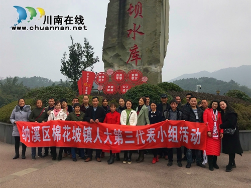 纳溪区棉花坡镇：人大代表助力村集体经济发展(图1)