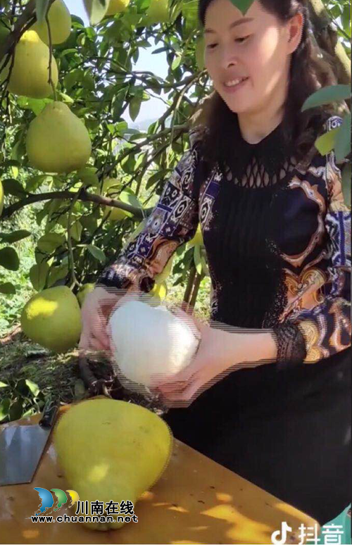 播放量600万！合江真龙柚在抖音上火了！(图7)