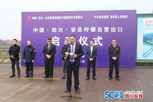 自贸区红利共享&nbsp;安岳柠檬首次借泸州港出海(图1)