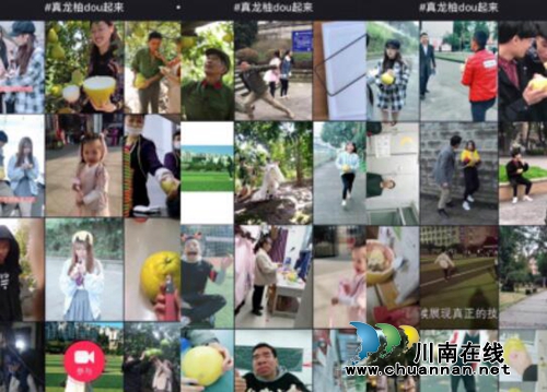 合江“真龙柚dou起来”抖音挑战赛最后一天啦(图2)