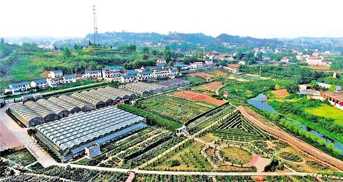 内江国家农业科技园区通过验收(图1)