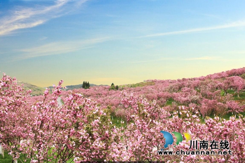 “千年古邑．红色瓮安”旅游推介会在泸州举行(图6)