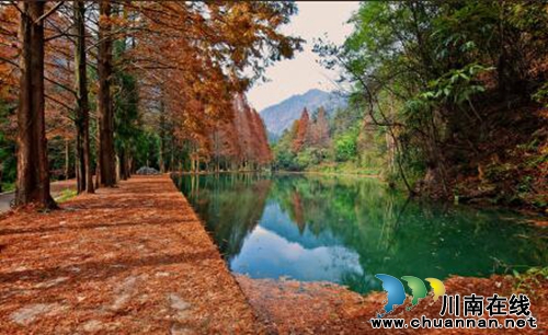 “千年古邑．红色瓮安”旅游推介会在泸州举行(图2)