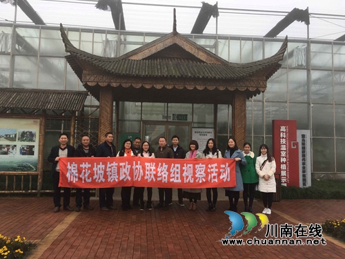 纳溪区棉花坡镇政协联络组取经“蔬适生活”(图1)